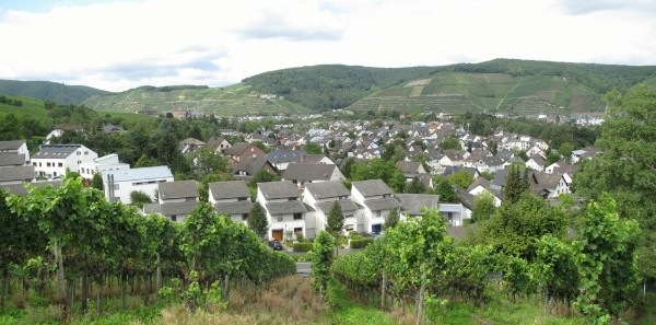 Blick über Ahrweiler auf die Sonnenseite 