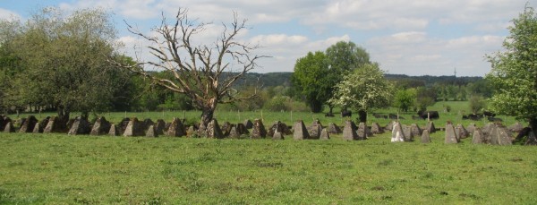 Westwall, Höckerlinie, Drachenzähne