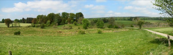 Blick zum Hexenplatz