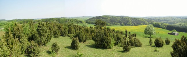 Kalkeifel bei Dollendorf