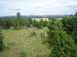 Am Horizont der Aremberg