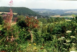 Brohltalblick