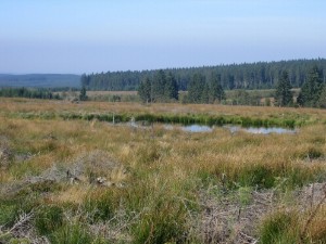 Blick zum Poleur Venn