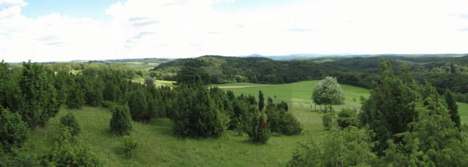 Wacholderschutzgebiet "Lampertstal" am Horizont der Aremberg