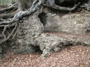 röm. Wasserleitung mit Durchlass