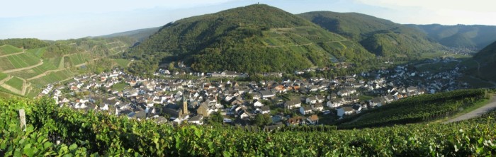 Wandergebiet mit Dernau und Krausberg