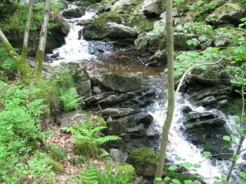 Im Tal der tausend Wasserfälle