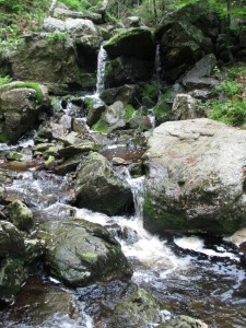 Cascade de Nutons