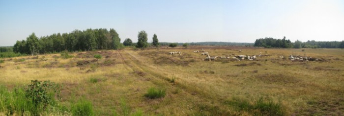 Panoramablick vom Aussichtshügel