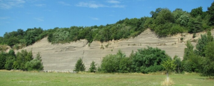 Wingertsbergwand