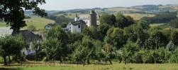 Wildenburg Wildenburg