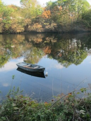 Herbstisylle am Staubecken