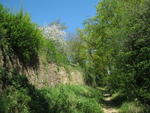 Weinberg-Stützmauer 