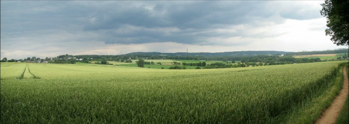 Blick zur Eifel