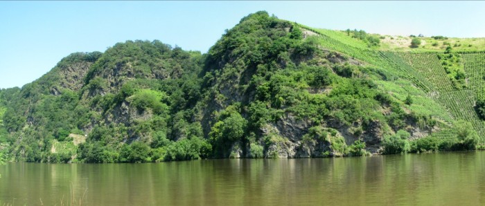 Moselloreley