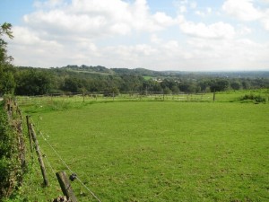 weiter Blick bis in die Eifel