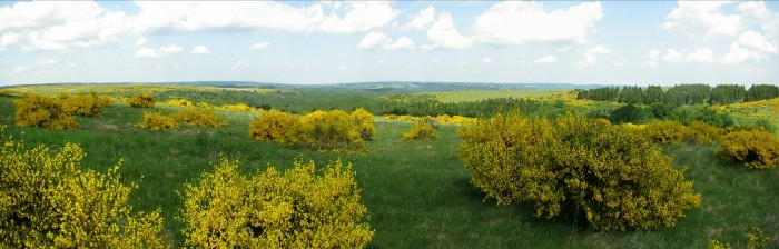 Panorama von Dreiborner Höhe